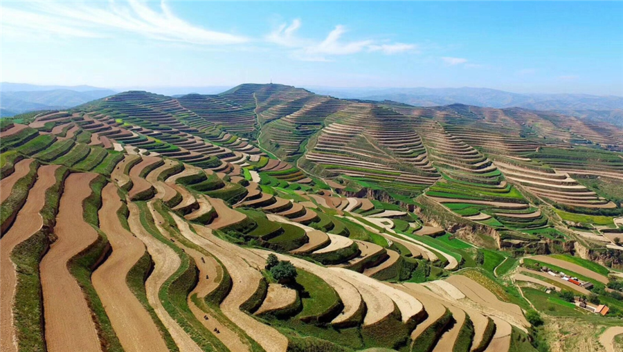 B–Sports必一生物｜国家重点研发计划“黄土高原旱作适水改土与产能提升技术模式及应用”项目启动